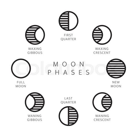 Set Of 8 Moon Phases Line Icons Stock Vector Colourbox