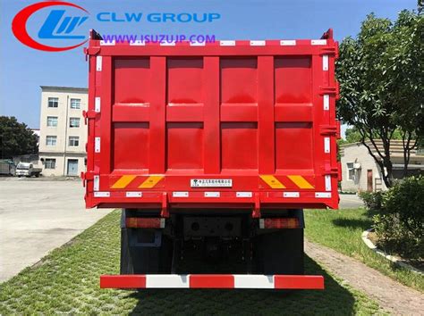 China 12 Wheel Heavy Duty Dump Truck Niger