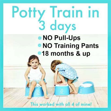 How To Start Potty Train Agencypriority