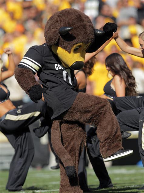 4 Times Colorado Mascots Proved Theyll Do Anything For The Team 5280