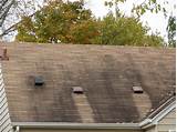 Stains On Roof Shingles Photos