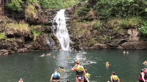 Hawaii Falls Swimming Youtube