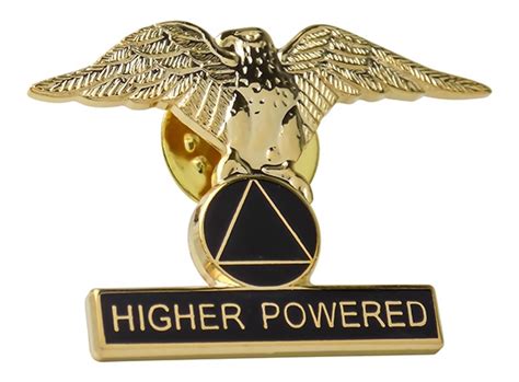 Lapel Pin Higher Powered Eagle With Aa Logo Recoveryshop
