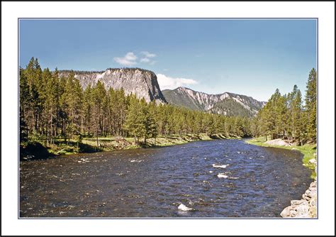 The Madison River Yellowstone National Park 1973 Flickr
