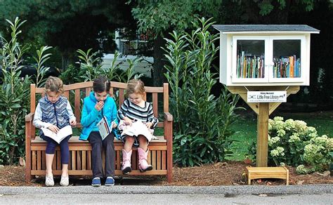 Free Libraries Embracing A Little Chaos