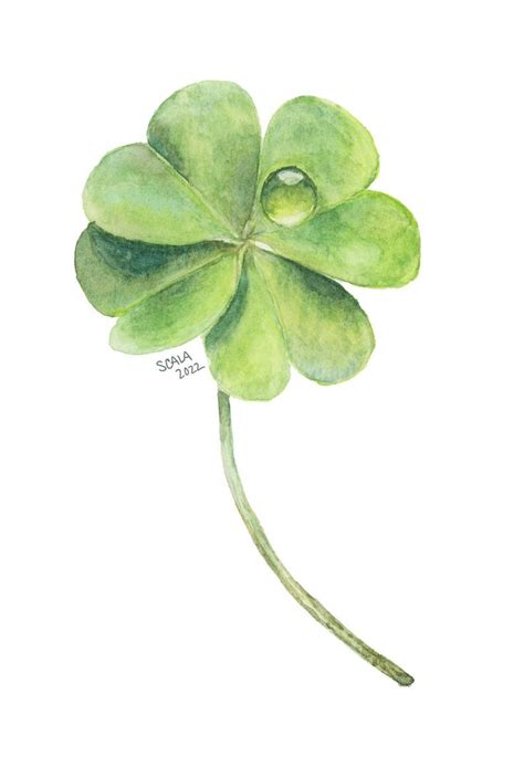 Four Leaf Clover Watercolor Art Print Etsy In 2023 Four Leaf Clover Drawing Watercolor Art
