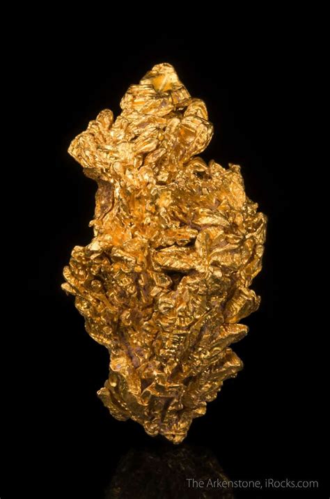 Gold Gold16 11 Serra De Caldeirao Brazil Mineral