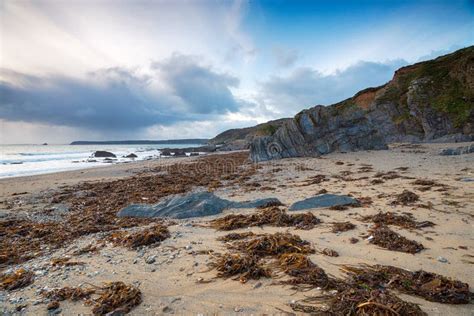 Low Tide At Hemmick In Cornwall Stock Photo Image Of Rocks Overcast