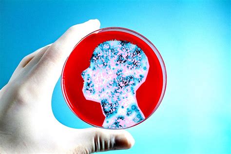 It is made up of lipids embedded with proteins and carbohydrates that regulate the entry and exit of nutrients. Only 43% of Our Bodies Are Made Up of Human Cells… So What ...