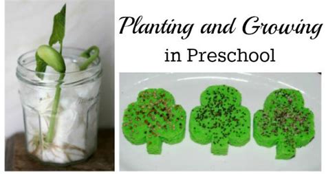 25 Planting And Gardening Activies For Preschoolers Science For Kids