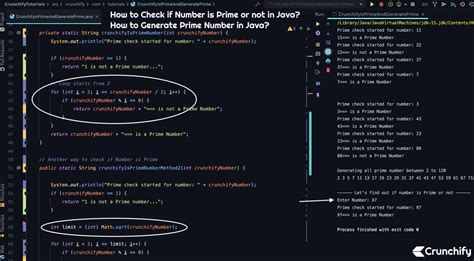 The jdk also contains a jre to run the java program. How to Check if Number is Prime or not in Java? How to ...