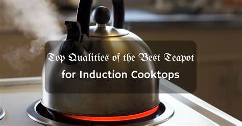 induction teapot cooktop kettle tea hobs teapots cooktops qualities warmchef