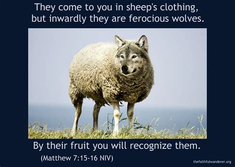 A wolf in sheep's clothing (tv movie 2016). Detecting a Wolf in Sheep's Clothing (Part 2) » The ...
