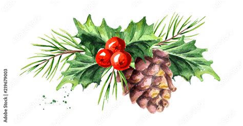 Christmas And New Year Symbol Decorative Holly Berry With Pine Cone And