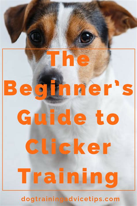 The Beginners Guide To Clicker Training Dog Training Tips Dog