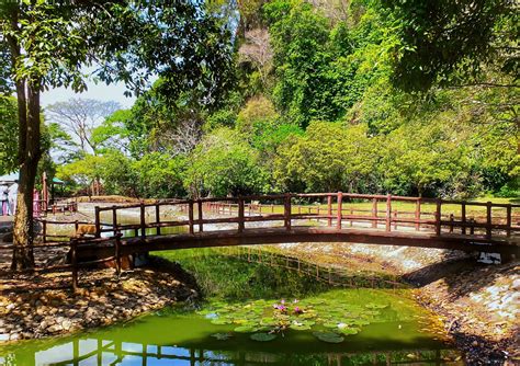 8 Beautiful Urban Parks In Malaysia We Cant Wait To Revisit Going