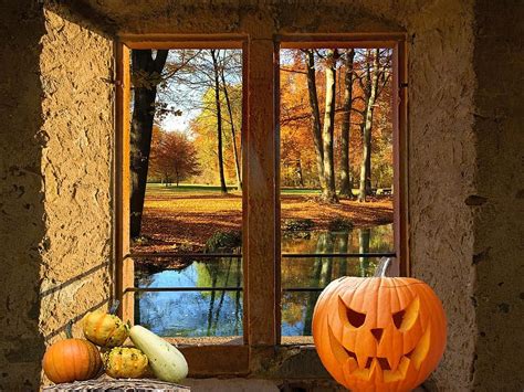 Window Autumn Pumpkin Window Sill The Autumn Window Nature