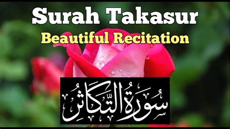 Surah Takasur Surah Takasur Tilawat Best Quran Recitation Recite