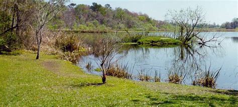 Lake Alice Architecture Of The University Of Florida Gainesville