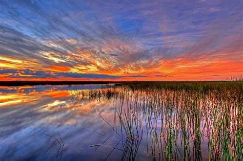 The Everglades: A Must-See in Florida | English blog