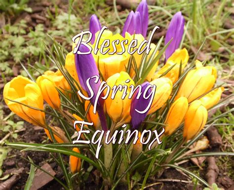 Have A Happy And Blessed Spring Equinox Picture Made By Myself