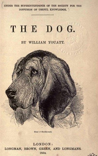 The Dog By William Yoatt With An Illustration Of A Dogs Head In Black Ink