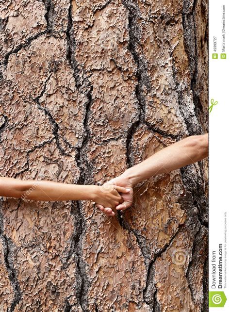 Nature Earth Lovers Tree Huggers Holding Hands Stock