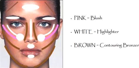 How to apply blush bronzer highlighter concealer. How To Apply Bronzer Highlighter And Blush - How to Wiki 89