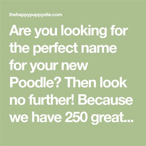 Poodle Names 250 Perfect Ideas For Naming Your Poodle Poodle Names