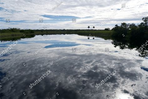 Water Reflects The Sky At Ernest F Coe Visitor Center In Everglades