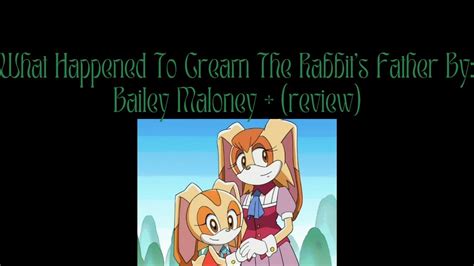 Sonic Theory What Happened To Cream The Rabbits Father By Bailey