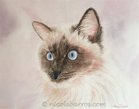 Ragdoll Paintings Search Result At