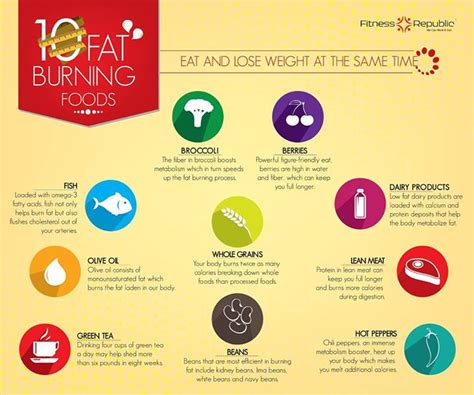 10 Fat Burning Foods Visually