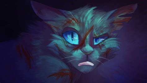 Warrior Cats Wallpapers And Backgrounds 4k Hd Dual Screen