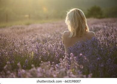 Nude Woman Lavender Field Sunset Stock Photo Shutterstock