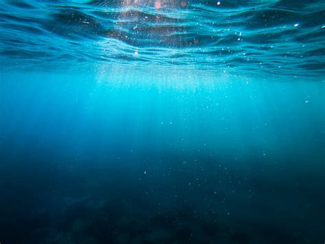 Underwater Sun Rays Blue Ocean Seascape 4k Hd Wallpaper
