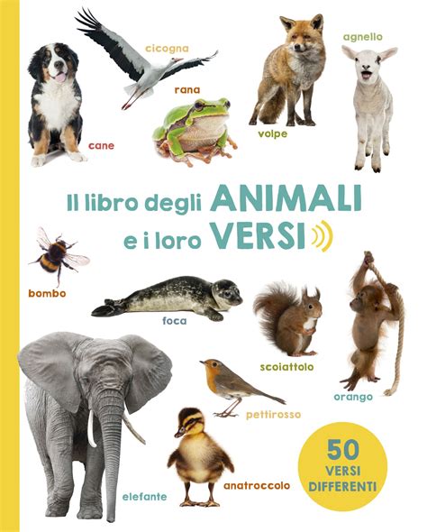 Il Libro Degli Animali E I Loro Versi Picarona Libri Per Bambini