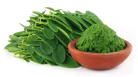 How to Use Moringa Powder: Your Questions Answered by Zen Principle gambar png