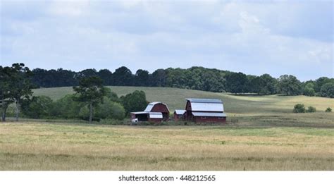 11400 Georgia Farm Images Stock Photos And Vectors Shutterstock