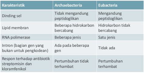 Apa Yang Dimaksud Dengan Eubacteria - Ciri-Ciri Archaebacteria