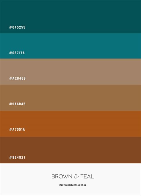 Brown And Teal Color Palette With Color Codes Color A