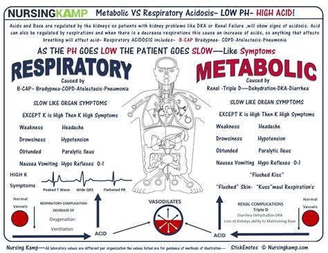 Respiratory acidosis is caused by relative hypoventilation. Nursing KAMP - The Nurses Notes (With images) | Nursing ...
