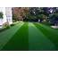 Seven Best Lawn Care Tools For A Beautiful Yard  Gold Path Real Estate