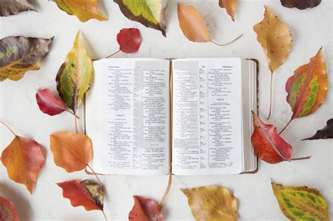 Border Of Fall Leaves Around A Bible — Photo — Lightstock