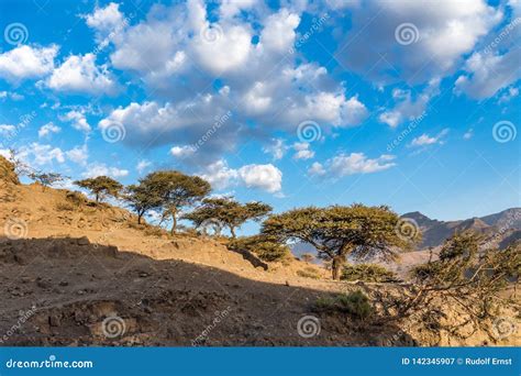 Landscape Between Gheralta And Lalibela In Tigray Ethiopia Africa