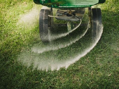 Best Grass Fertilizing Tips When To Fertilize Lawns Hgtv
