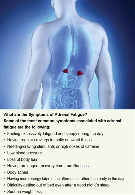 Are You Suffering From Adrenal Fatigue Adrenal Fatigue Adrenals