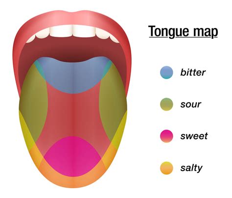 Tongue Taste Sensation