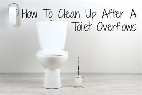 How To Clean Up After A Toilet Overflows Home Ec 101