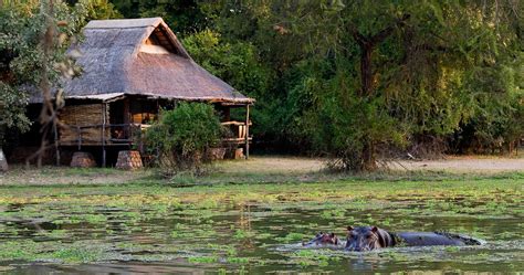 Mfuwe Lodge In South Luangwa National Park Luxury Safari In Zambia